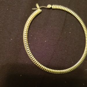 Jewelry - π Hooped Earings Jewelry - π Hooped Earings